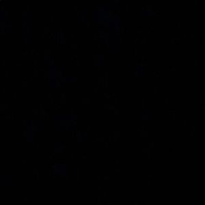 Meet your Posher, Rufus